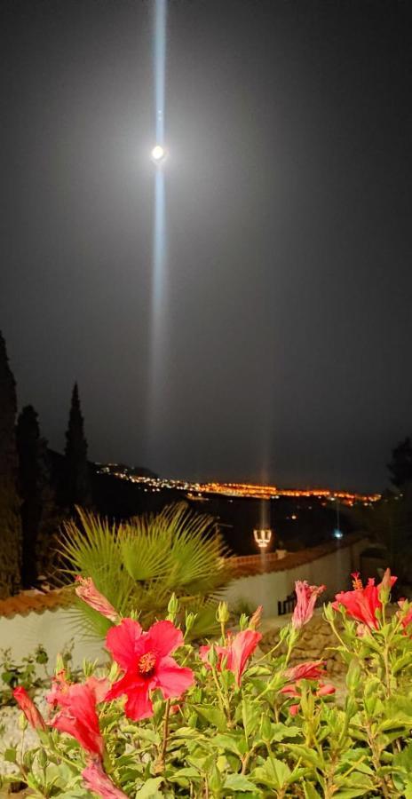 Villa Rafaela فريجيليانا المظهر الخارجي الصورة